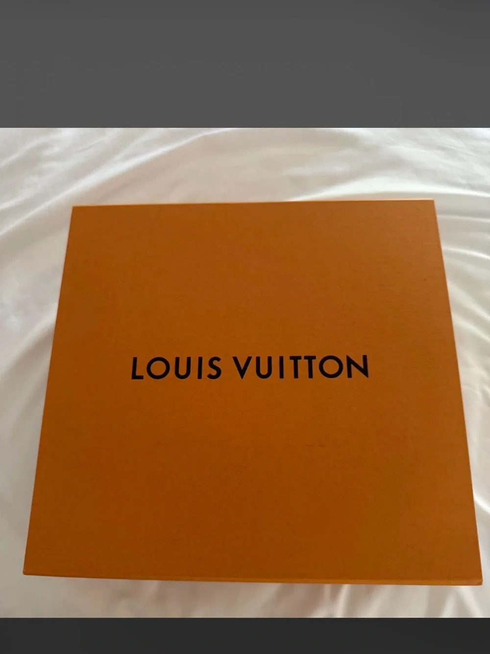 Louis Vuitton monogram canvas